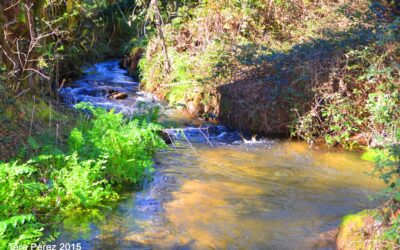 Senda e Parque Etnográfico do río Landres
