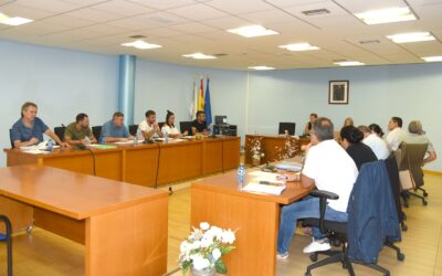 Retransmisión do Pleno Ordinario de 26/02/2026