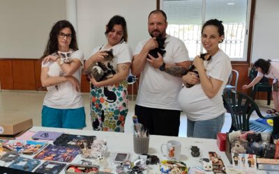 Boa acollida para os “cat dates” en Salceda